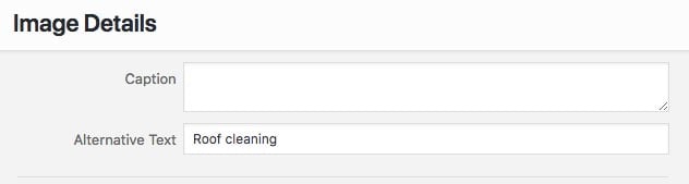 image alternative text của wordpress